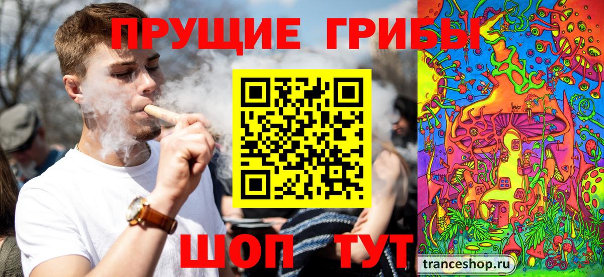 Саянск  Псилоцибиновые грибы GOLDEN TEACHER  Вход с VPN 